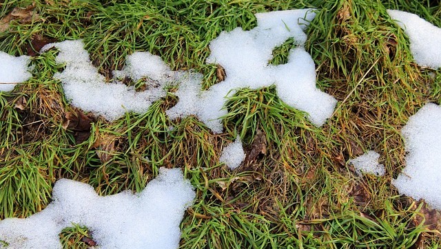 Why do you need a professional to clear your soak wells?