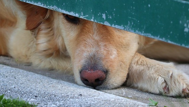 Signs that Indicate you Need a Gate Repair