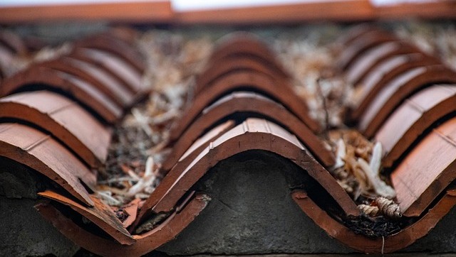 What Roofing Services Can a Handyman Help You With?