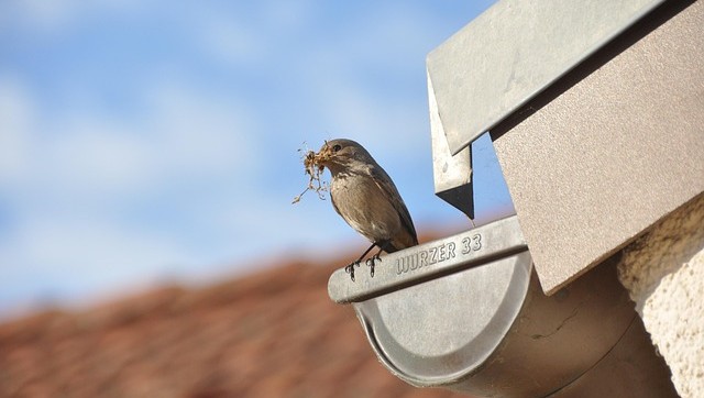 NexGen Tradies - Roof and Gutter Repairs Perth