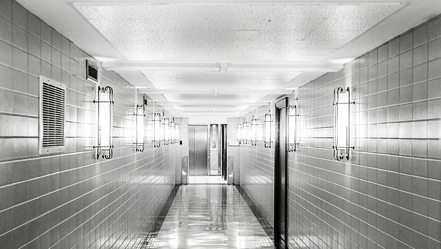 Damaged Commercial Ceiling Tiles? Replacement Solutions for Perth Businesses