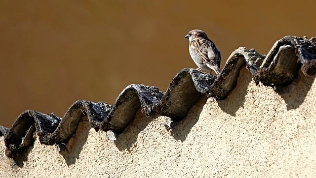 Cracked, Chipped or Misaligned Roof Tiles: How NexGen Tradies Makes Them Good